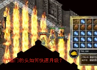 六扇门豹头如何快速升级? 六扇门豹头如何快速升级?