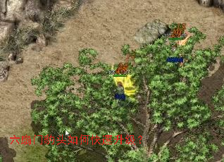 六扇门豹头如何快速升级? 六扇门豹头如何快速升级?