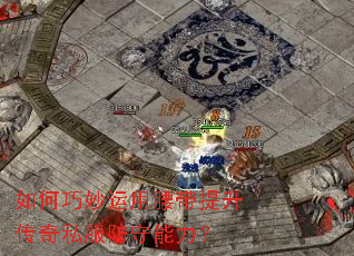 �����������������������˽������������