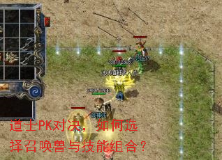 ��ʿPK�Ծ������ѡ���ٻ����뼼����ϣ�