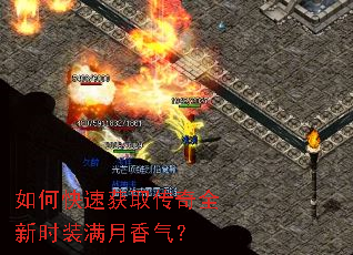 ��ο��ٻ�ȡ����ȫ��ʱװ����������