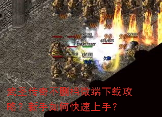 ��ʥ���治ɾ��΢�����ع��ԣ�������ο������֣�