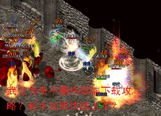 ��ʥ���治ɾ��΢�����ع��ԣ�������ο������֣�