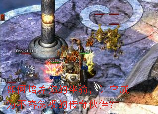 �������������������Ϊ���ݺ��ӵĴ����飿