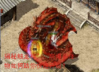 ���ش����񡱣��߱��ʹ�������������������