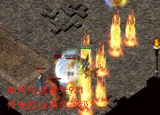 如何快速提升921传奇私服角色等级? 如何快速提升921传奇私服角色等级?