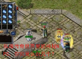 ˽�����������������NPC���㾿����ʶ������