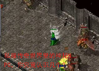 ˽�����������������NPC���㾿����ʶ������