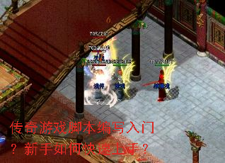 ������Ϸ�ű���д���ţ�������ο������֣�