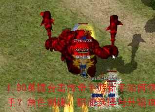 1.80Ӣ�ۺϻ���������������ο������֣���ɫ������ְҵѡ������������ȫ����