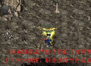 1.80Ӣ�ۺϻ���������������ο������֣���ɫ������ְҵѡ������������ȫ����