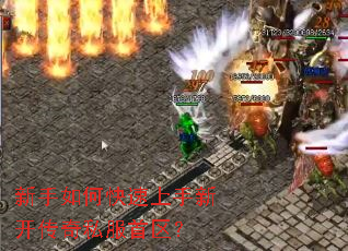 ������ο��������¿�����˽��������