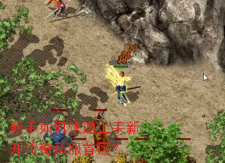 ������ο��������¿�����˽��������