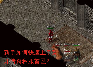 ������ο��������¿�����˽��������