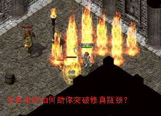 ���������������ͻ������ƿ����