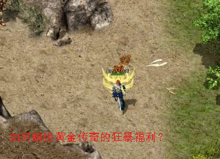 ��ν����ƽ���Ŀ񱩸�����