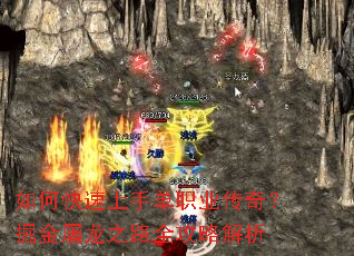 ��ο������ֵ�ְҵ���棿�������֮·ȫ���Խ���