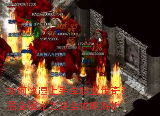 ��ο������ֵ�ְҵ���棿�������֮·ȫ���Խ���