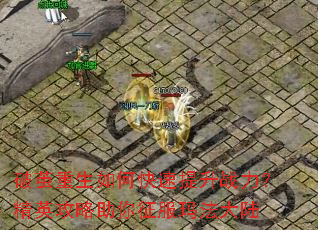 �Ƽ�������ο�������ս������Ӣ�������������귨��½