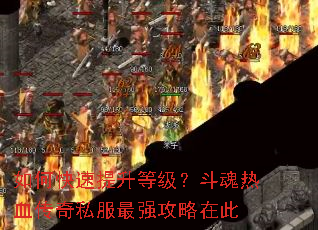 ��ο��������ȼ���������Ѫ����˽����ǿ�����ڴ�