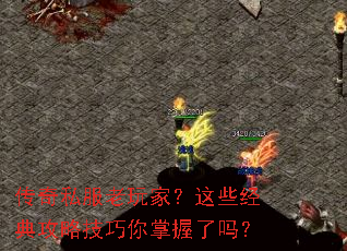 ����˽������ң���Щ���乥�Լ�������������