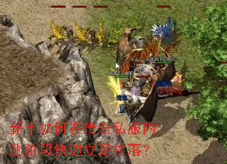 ��������ڴ���˽���ڲ�׶ο���������䣿