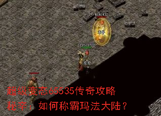 ������̬65535���湥����������γư��귨��½��