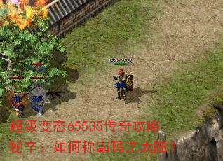 ������̬65535���湥����������γư��귨��½��