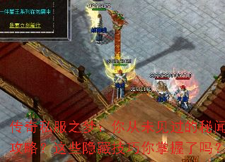 ����˽��֮�Σ����δ���������Ź��ԣ���Щ���ؼ�������������