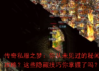 ����˽��֮�Σ����δ���������Ź��ԣ���Щ���ؼ�������������