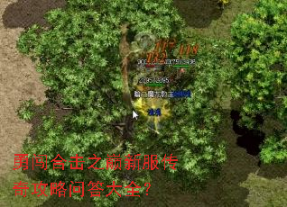 勇闯合击之巅新服传奇攻略问答大全? 勇闯合击之巅新服传奇攻略问答大全?