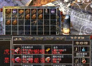 虎卫VS花吻蜘蛛:谁才是传奇私服最强王者? 虎卫VS花吻蜘蛛:谁才是传奇私服最强王者?