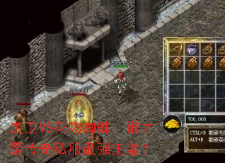 虎卫VS花吻蜘蛛:谁才是传奇私服最强王者? 虎卫VS花吻蜘蛛:谁才是传奇私服最强王者?