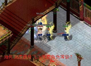 如何快速提升飞飞传奇角色等级? 如何快速提升飞飞传奇角色等级?