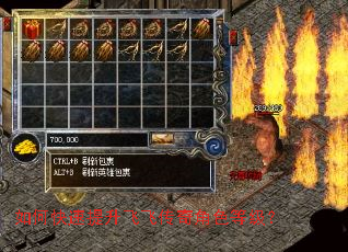 如何快速提升飞飞传奇角色等级? 如何快速提升飞飞传奇角色等级?