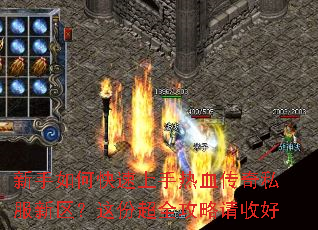 ������ο���������Ѫ����˽����������ݳ�ȫ�������պ�