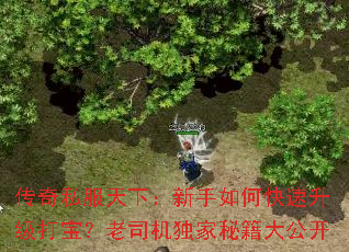 传奇私服天下:新手如何快速升级打宝?老司机独家秘籍大公开 传奇私服天下:新手如何快速升级打宝?老司机独家秘籍大公开