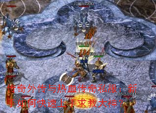 �����⴫����Ѫ����˽����������ο���������̴���