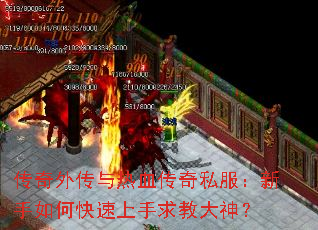 �����⴫����Ѫ����˽����������ο���������̴���