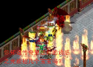 你知道传奇里法师的诱惑之光能招几个宝宝吗? 你知道传奇里法师的诱惑之光能招几个宝宝吗?