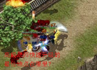 �߼���ʦ������������ѵص������