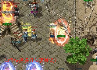 如何快速提升侠客等级? 如何快速提升侠客等级?