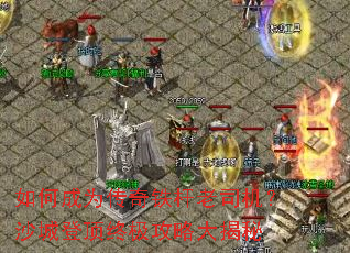 ��γ�Ϊ����������˾����ɳ�ǵǶ��ռ����Դ����