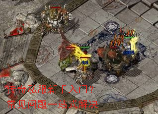 ����˽���������ţ���������һվʽ���