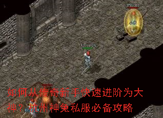 如何从传奇新手快速进阶为大神?杭州神兔私服必备攻略 如何从传奇新手快速进阶为大神?杭州神兔私服必备攻略