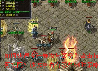 ��ο��������ȼ���װ�����ϻ�������δ��䣿ɳ����������Щ��ʤ���ԣ�