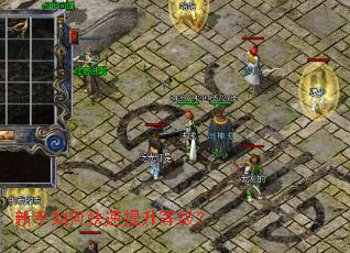 新手如何快速提升等级? 新手如何快速提升等级?