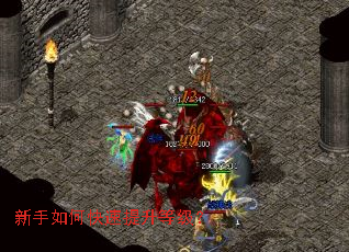 新手如何快速提升等级? 新手如何快速提升等级?