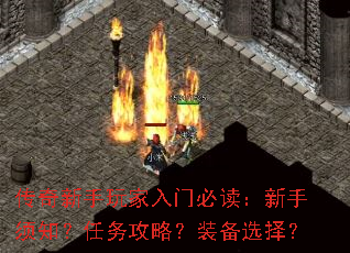 ��������������űض���������֪�������ԣ�װ��ѡ��