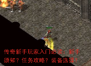 ��������������űض���������֪�������ԣ�װ��ѡ��